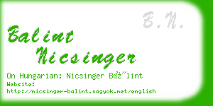 balint nicsinger business card